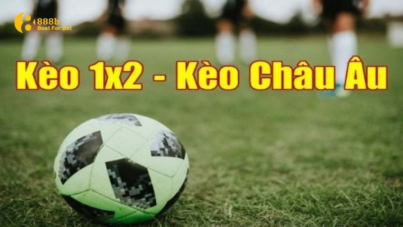 cách nhận biết kèo bóng đá Cách nhận biết kèo bóng đá châu Âu chuẩn xác nhất