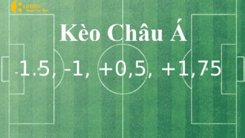 cách nhận biết kèo bóng đá Các loại kèo châu Á và cách nhận biết kèo bóng đá