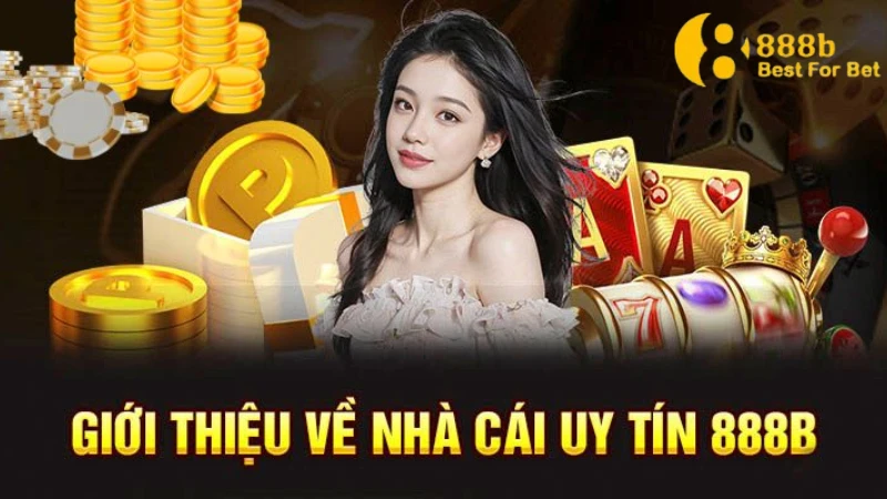 Về chúng tôi Khuyến mãi hấp dẫn