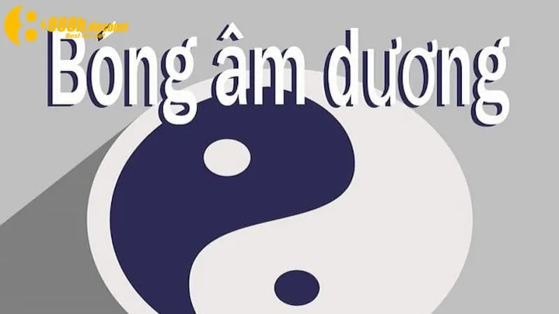 Các con số cụ thể khi chơi bóng âm bóng dương